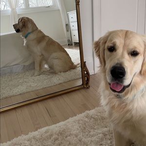 Meet your Posher, Carly